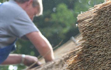 professional Pity Me thatchers